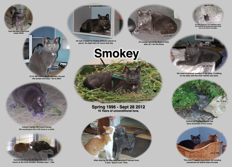 My Smokey Memorial